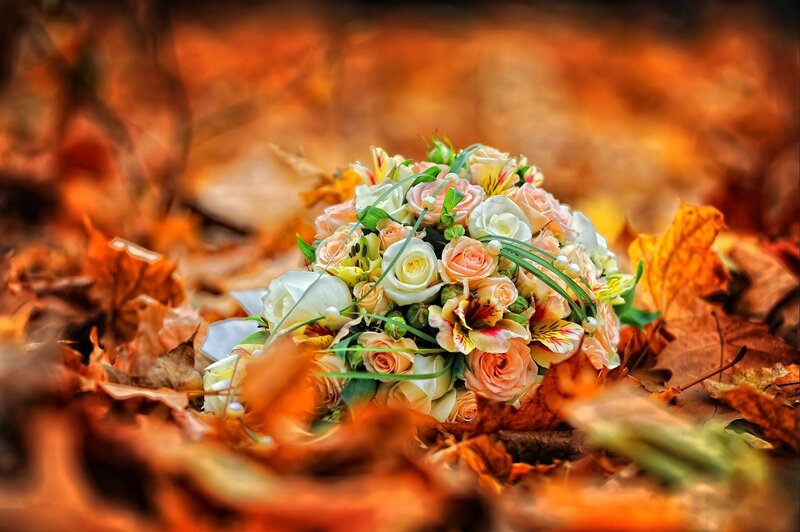 Wedding Bouquet on Leaves — Orange