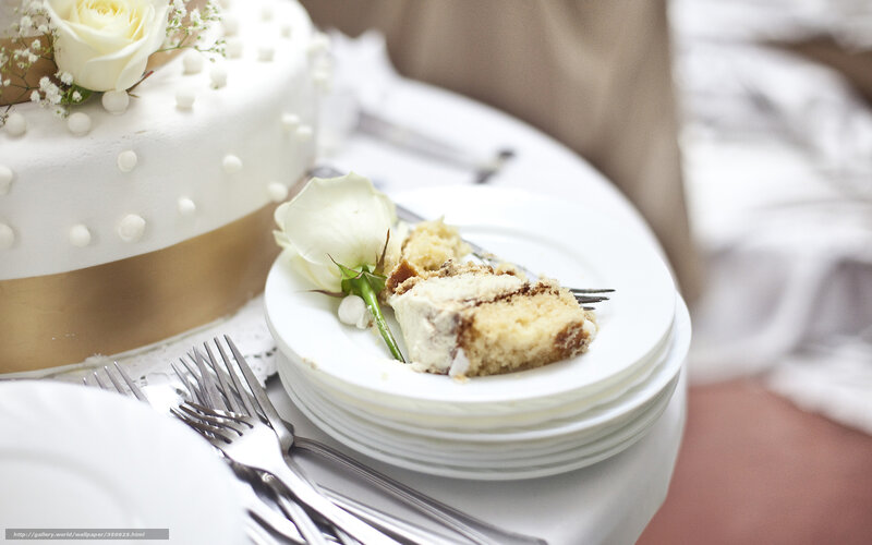 Wedding cake slice on plate