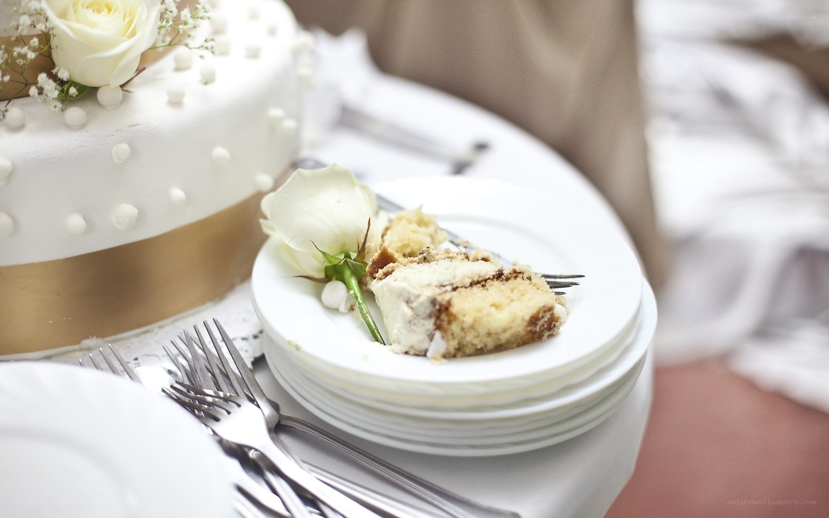 Wedding cake slice on plate