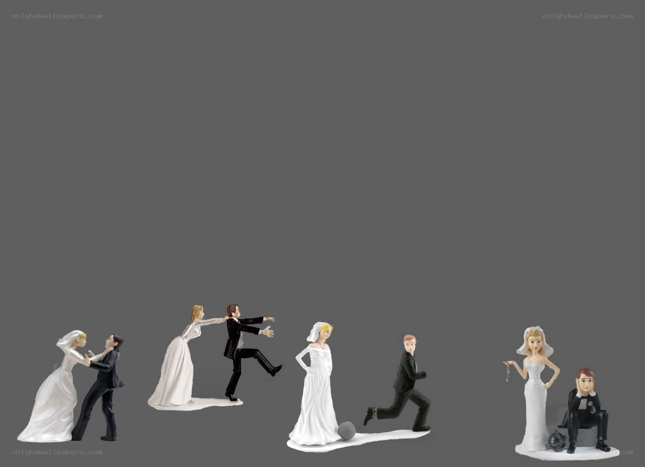 Wedding cake toppers in conflict