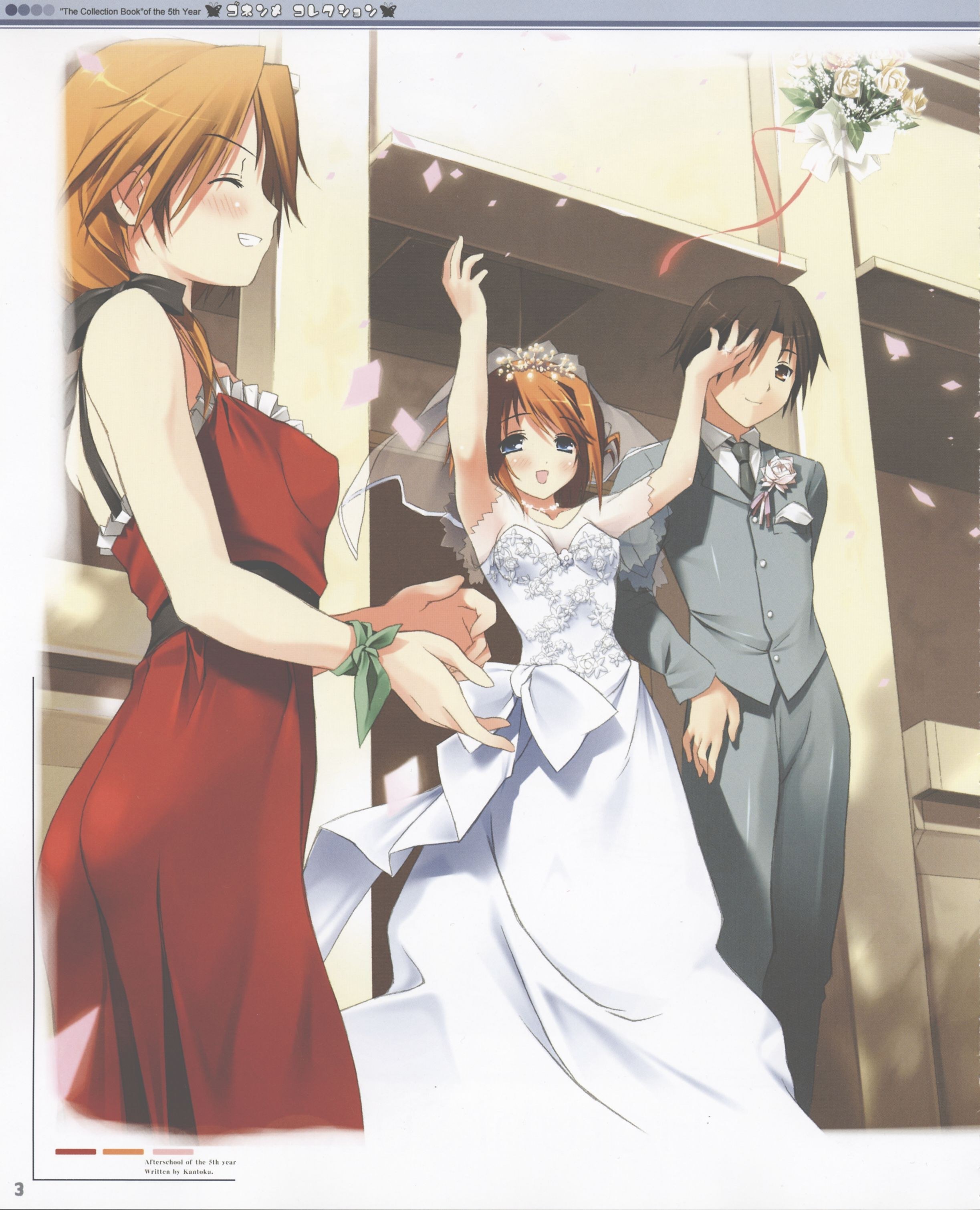 Wedding celebration illustration