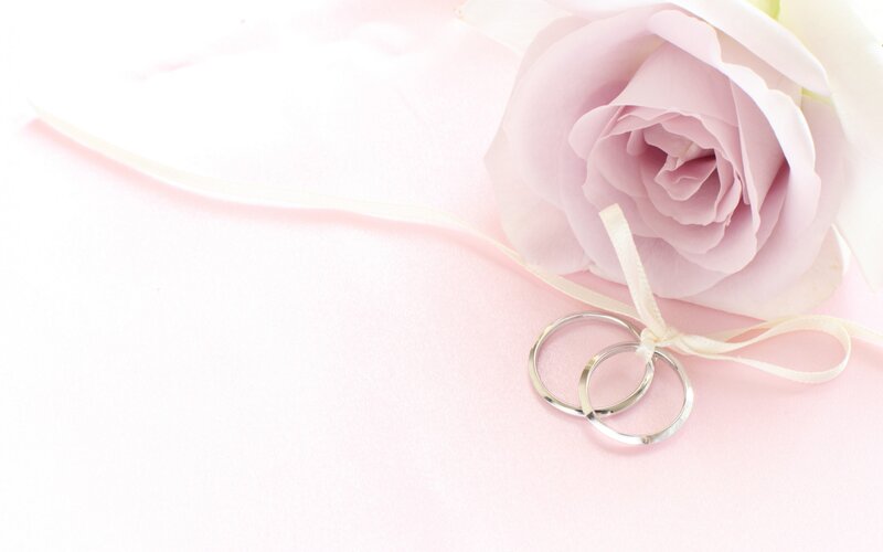 Wedding Rings and Rose