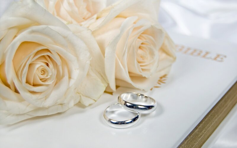 Wedding Rings and Roses — White, Serene