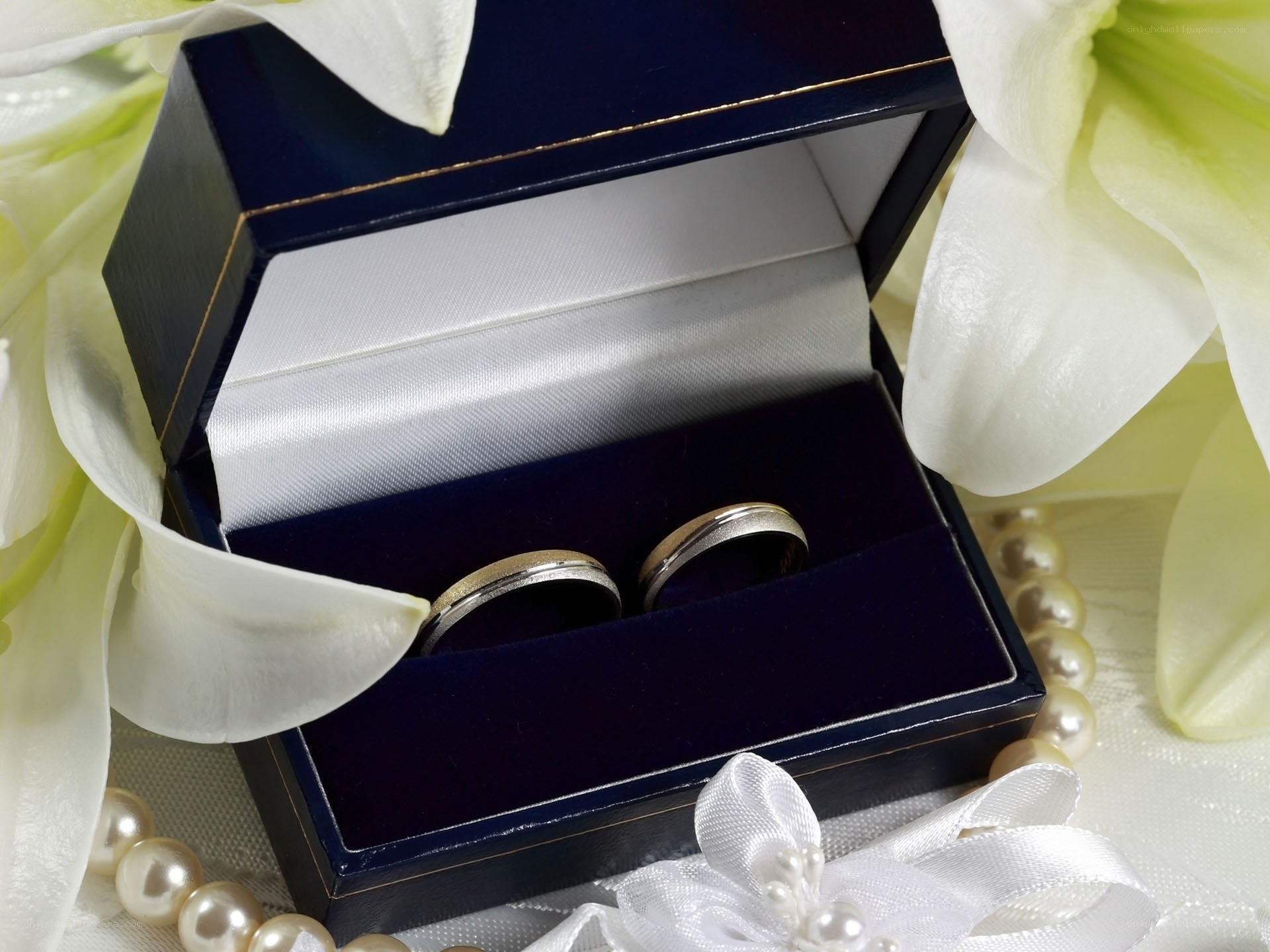Wedding rings in a box