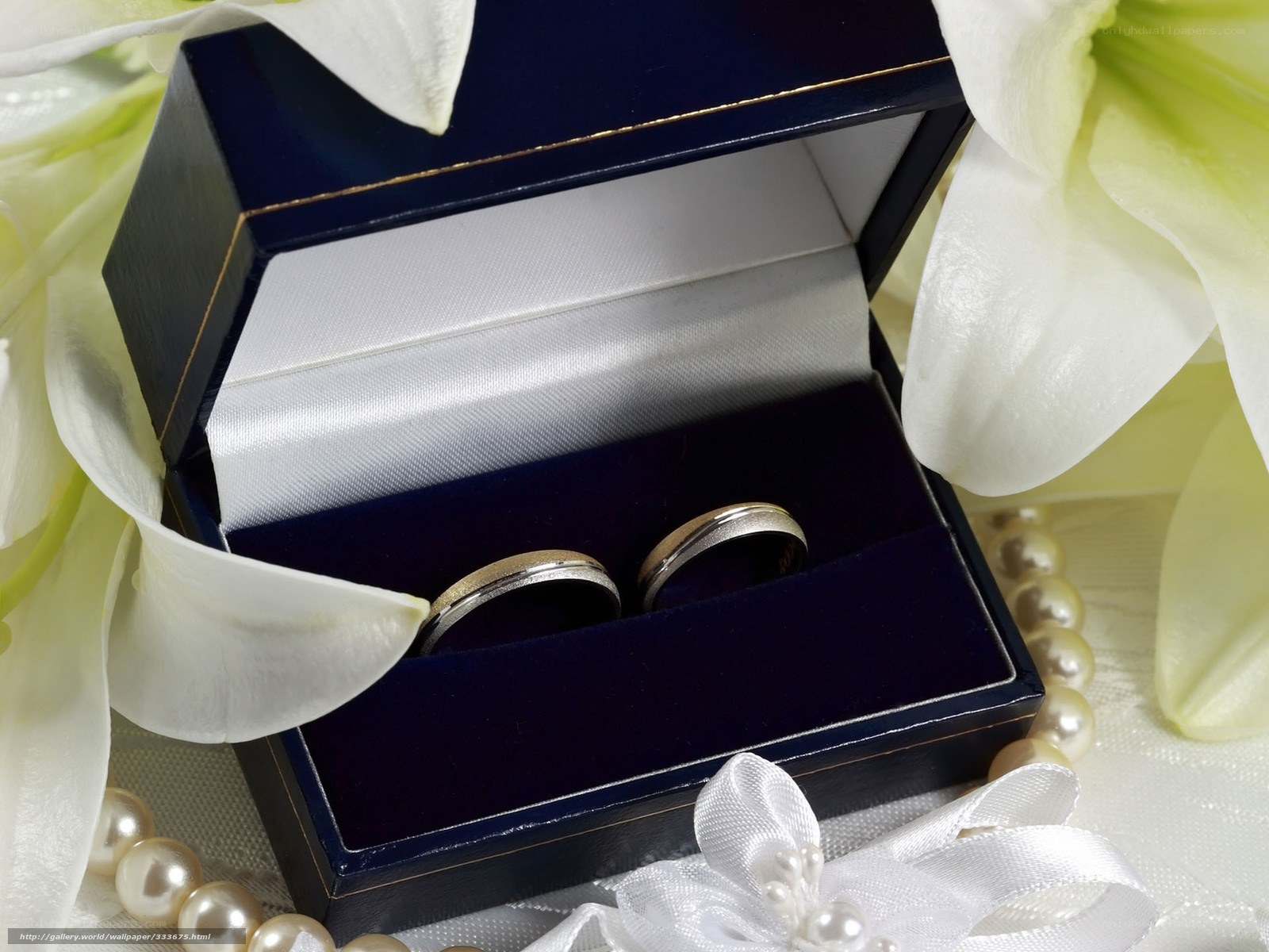 Wedding rings in a box