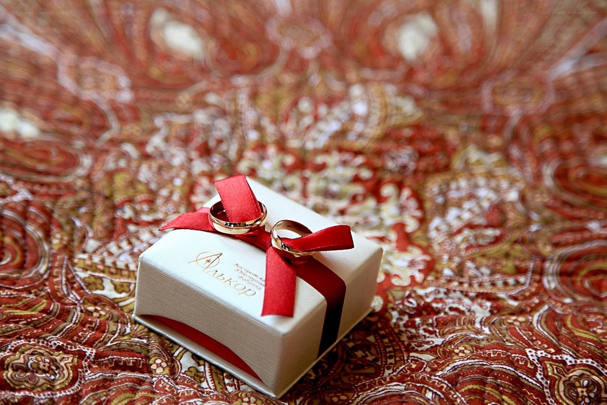 Wedding rings in a gift box