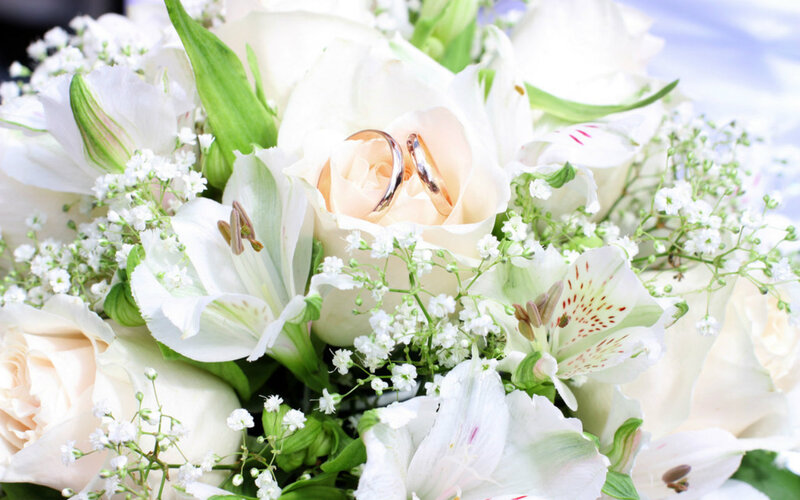Wedding Rings in Bouquet — White, Serene