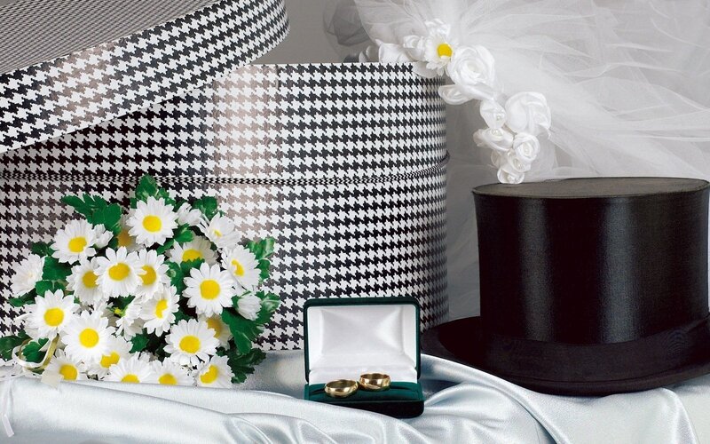 Wedding Rings in Box — White, Formal