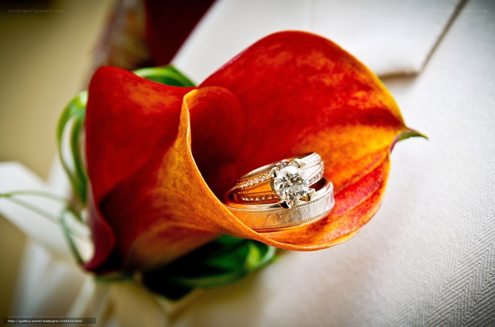 wedding rings in calla lily