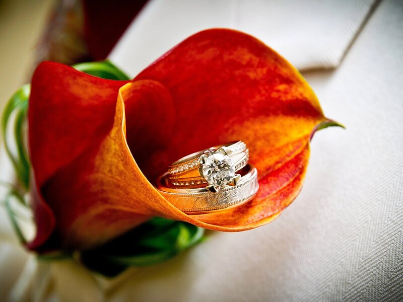 Wedding Rings in Flower
