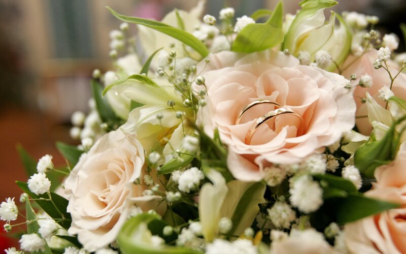 Wedding Rings in Flowers — Pink, Romantic, Photograph, Roses, Baby's Breath, Leaves, White, Green