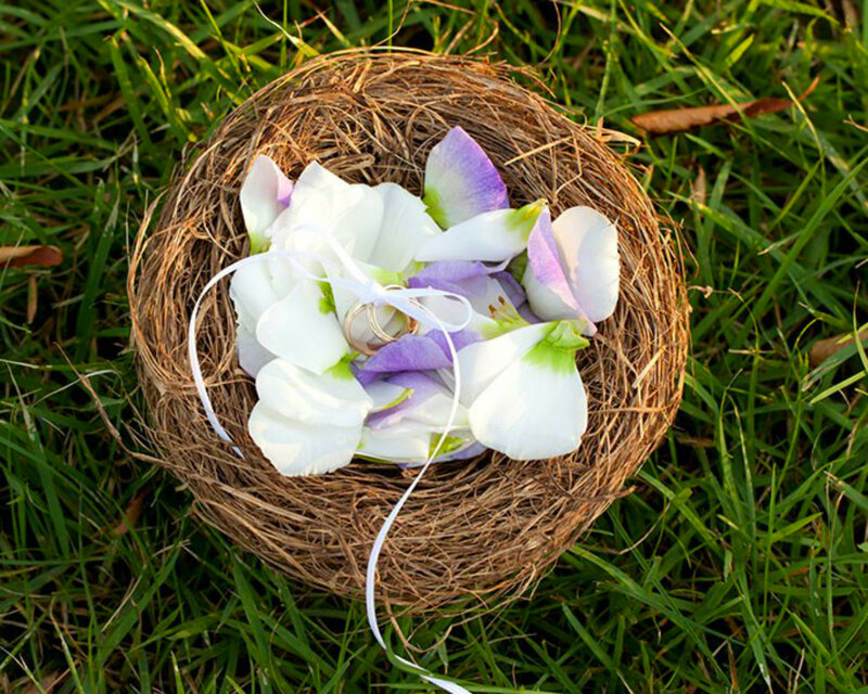 Wedding Rings in Nest