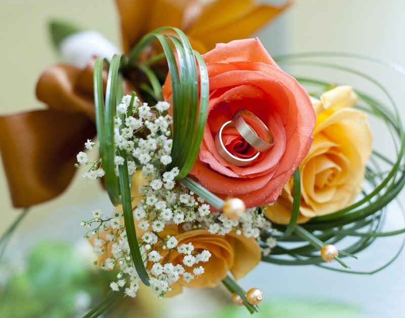 Wedding Rings in Rose
