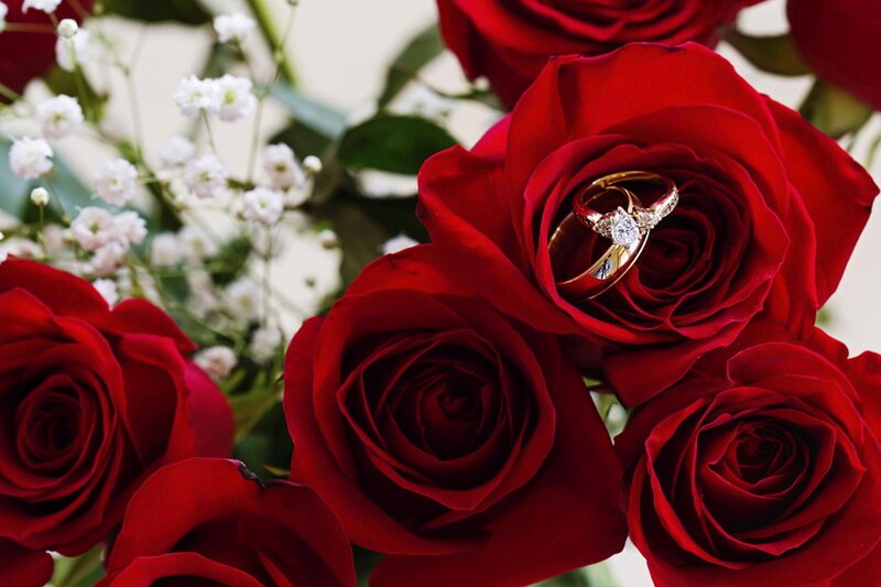 Wedding Rings in Roses — Red