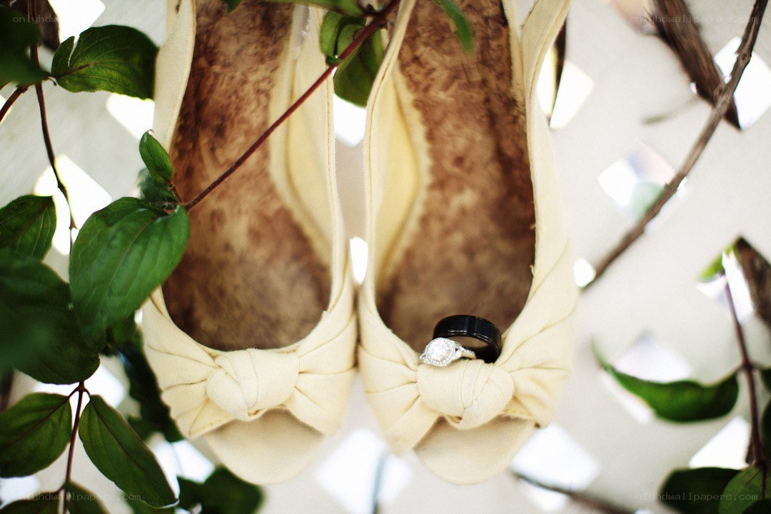wedding rings in shoes