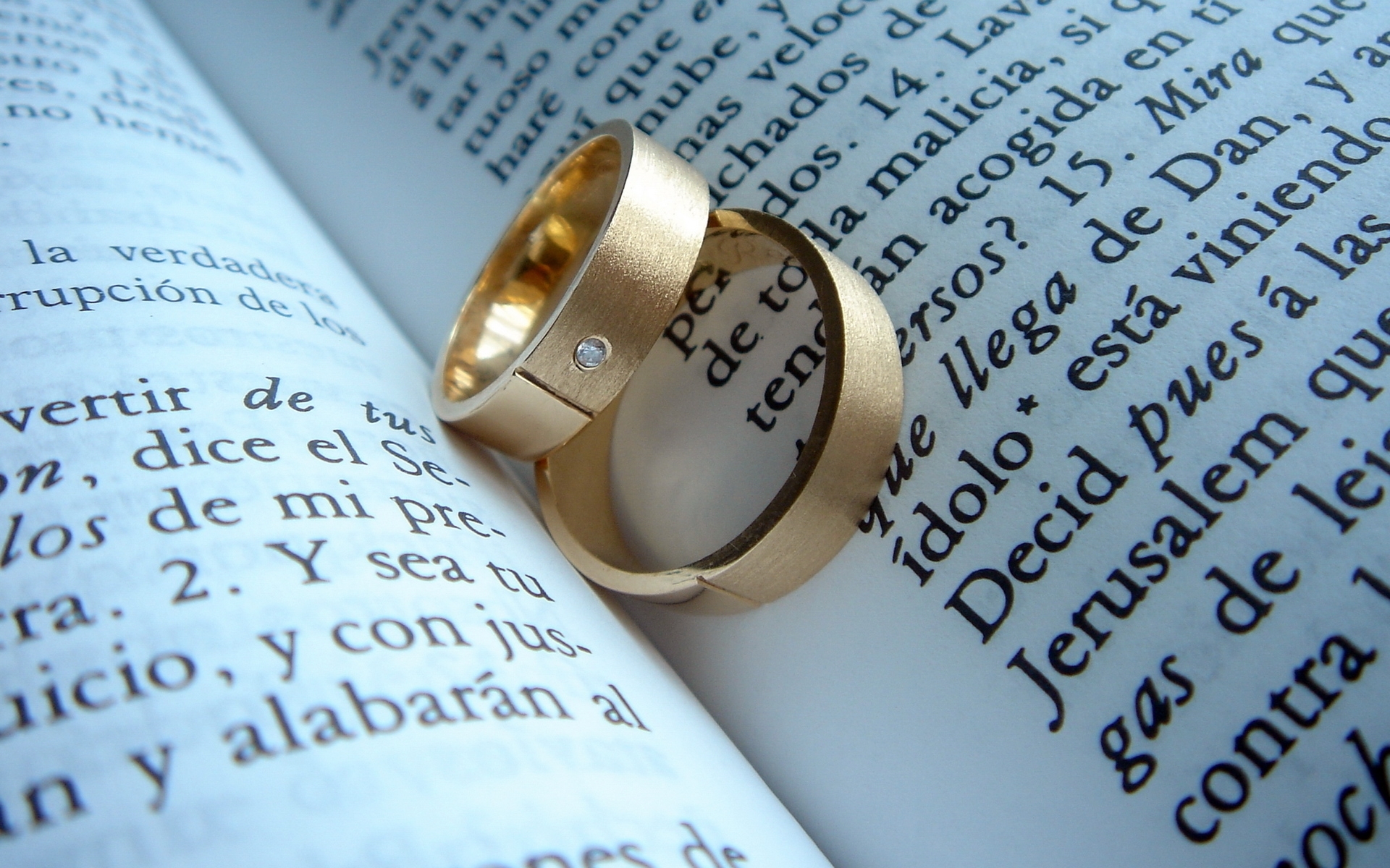 wedding rings on a book