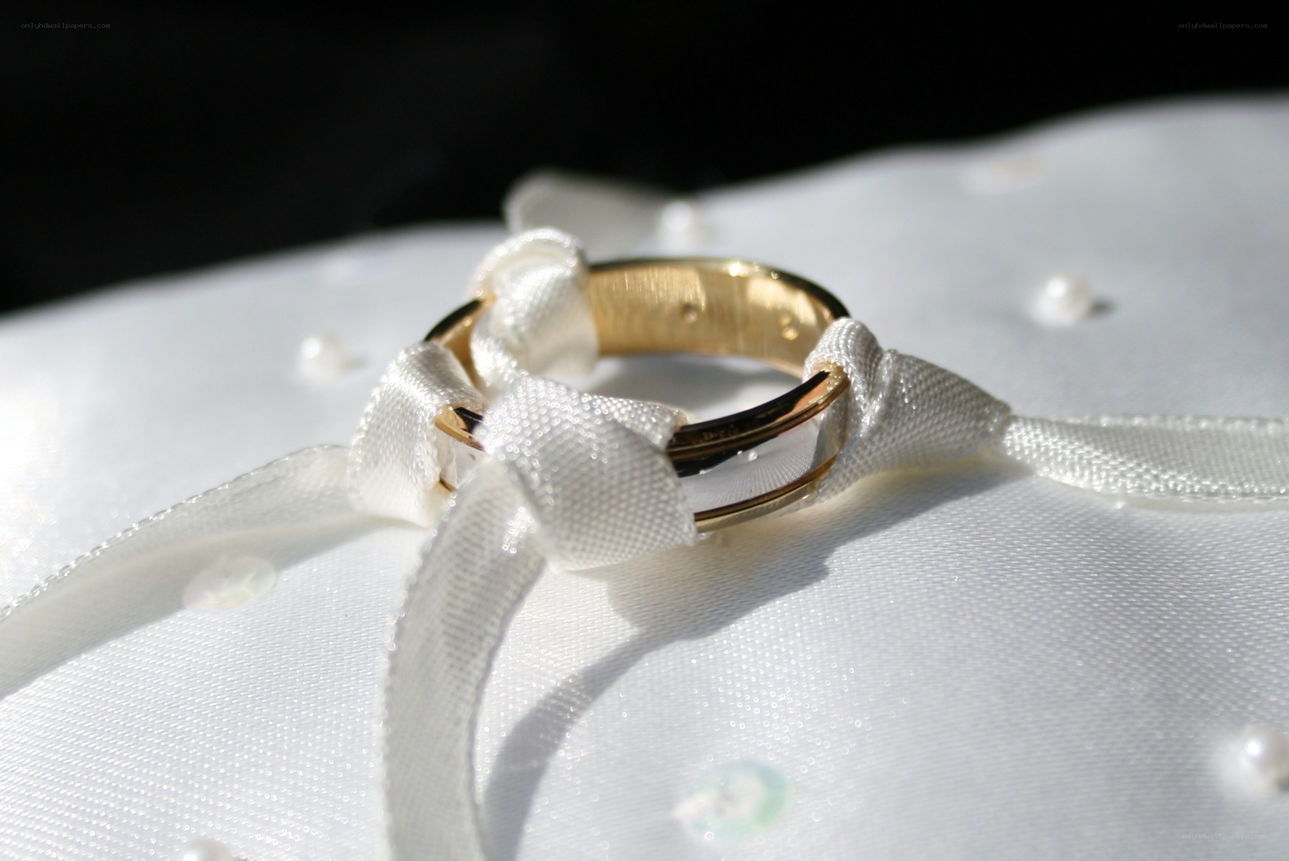 wedding rings on a pillow