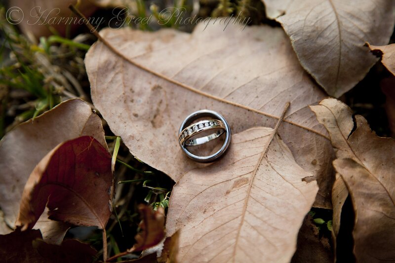 wedding rings on autumn leaves