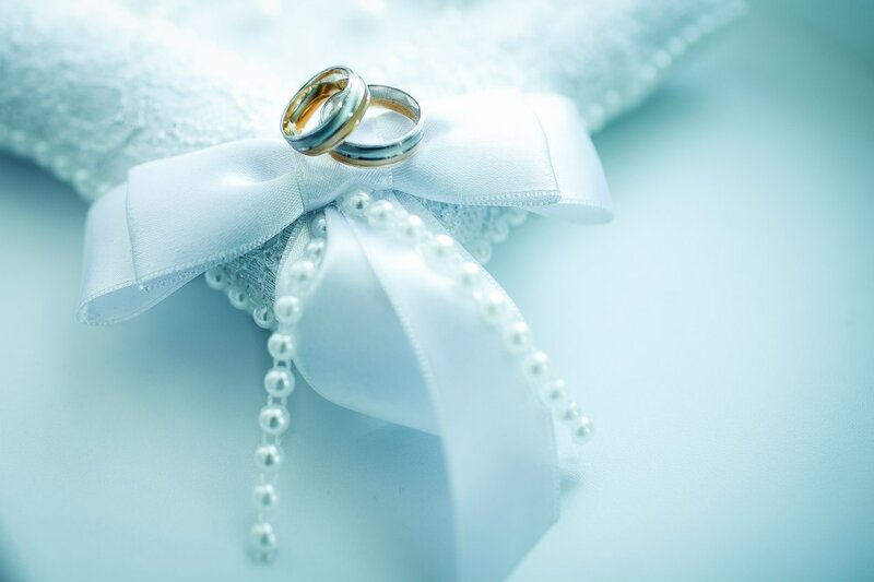 Wedding Rings on Bow