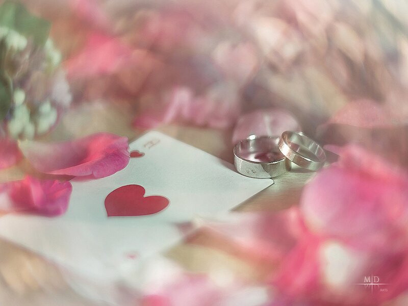 Wedding Rings on Card