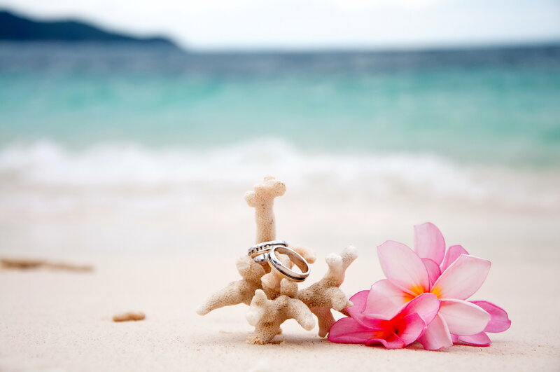 Wedding Rings on Coral