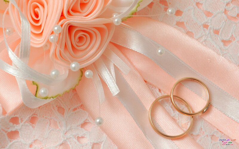 Wedding Rings on Fabric — Pink