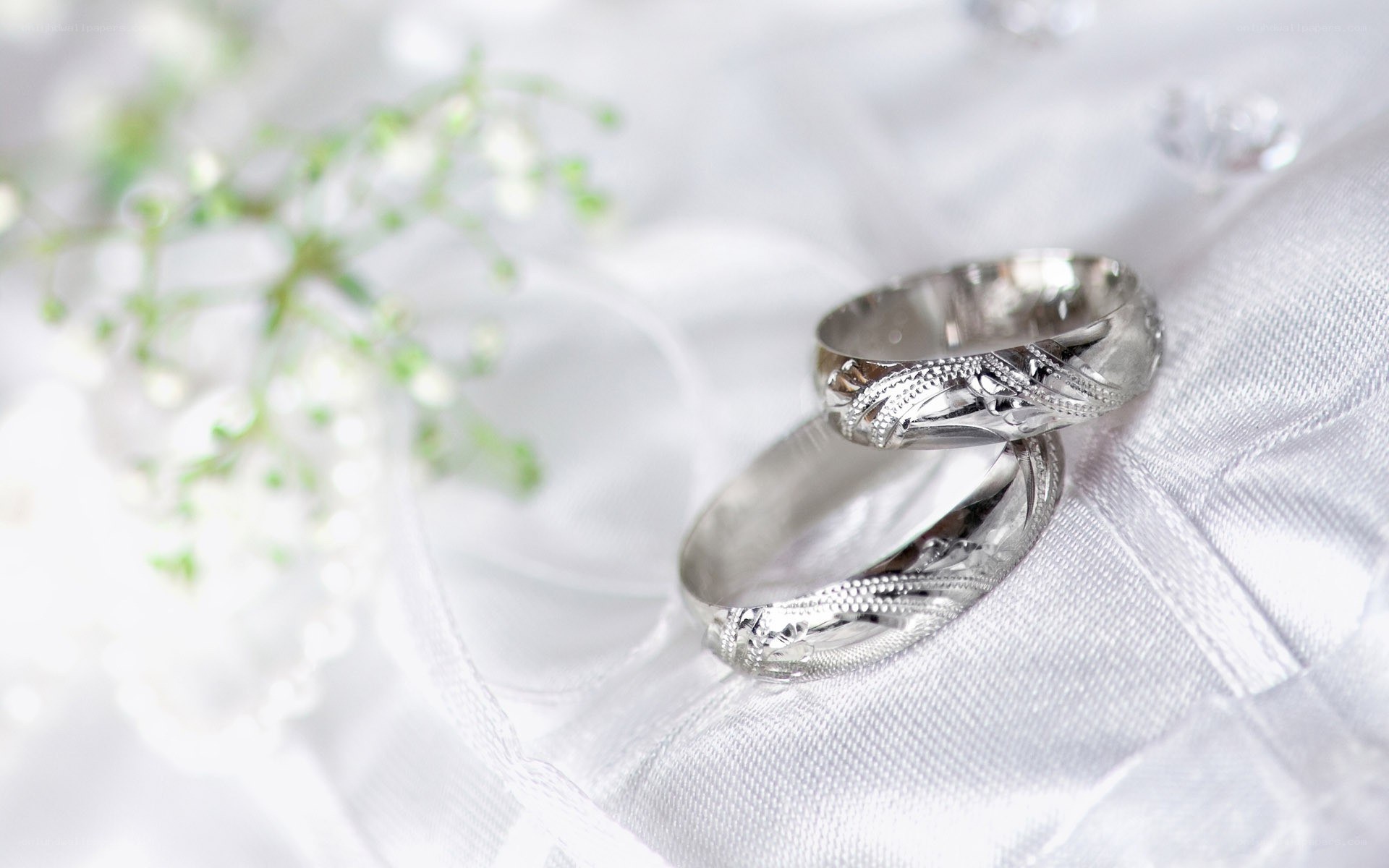 Wedding rings on fabric