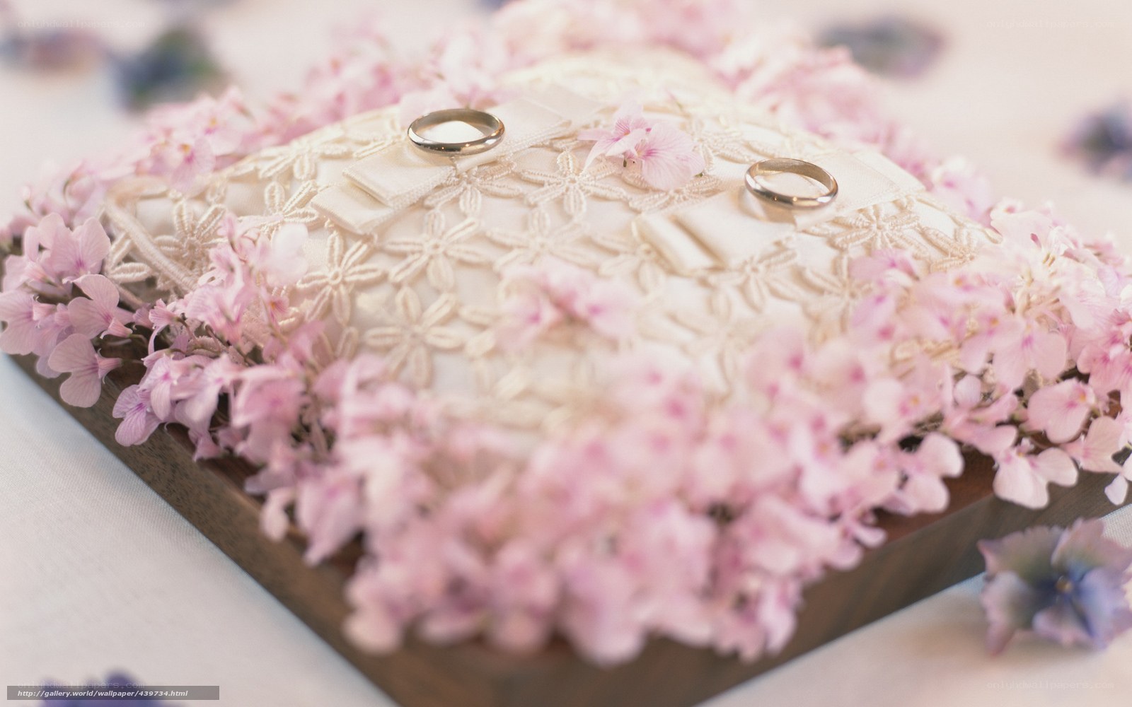 Wedding rings on floral pillow