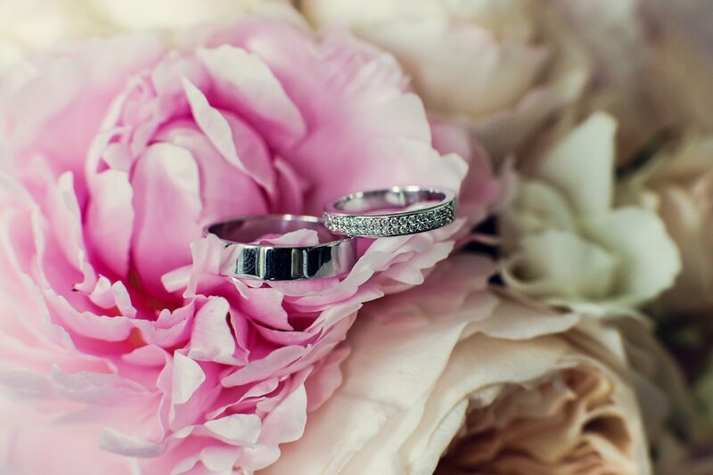 Wedding Rings on Flower — Pink, Romantic
