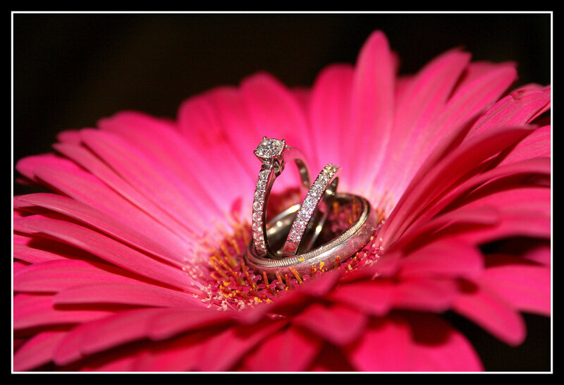 Wedding Rings on Flower