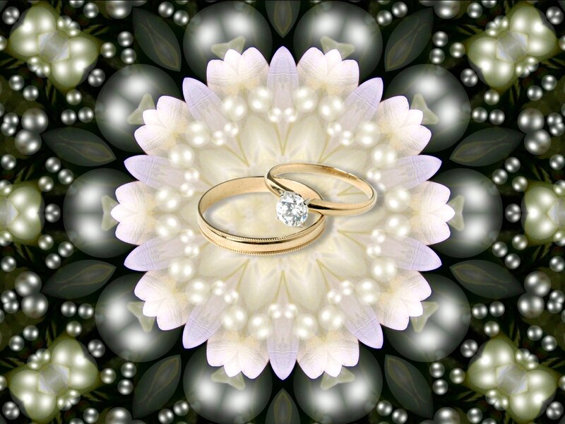 Wedding Rings on Flower — White