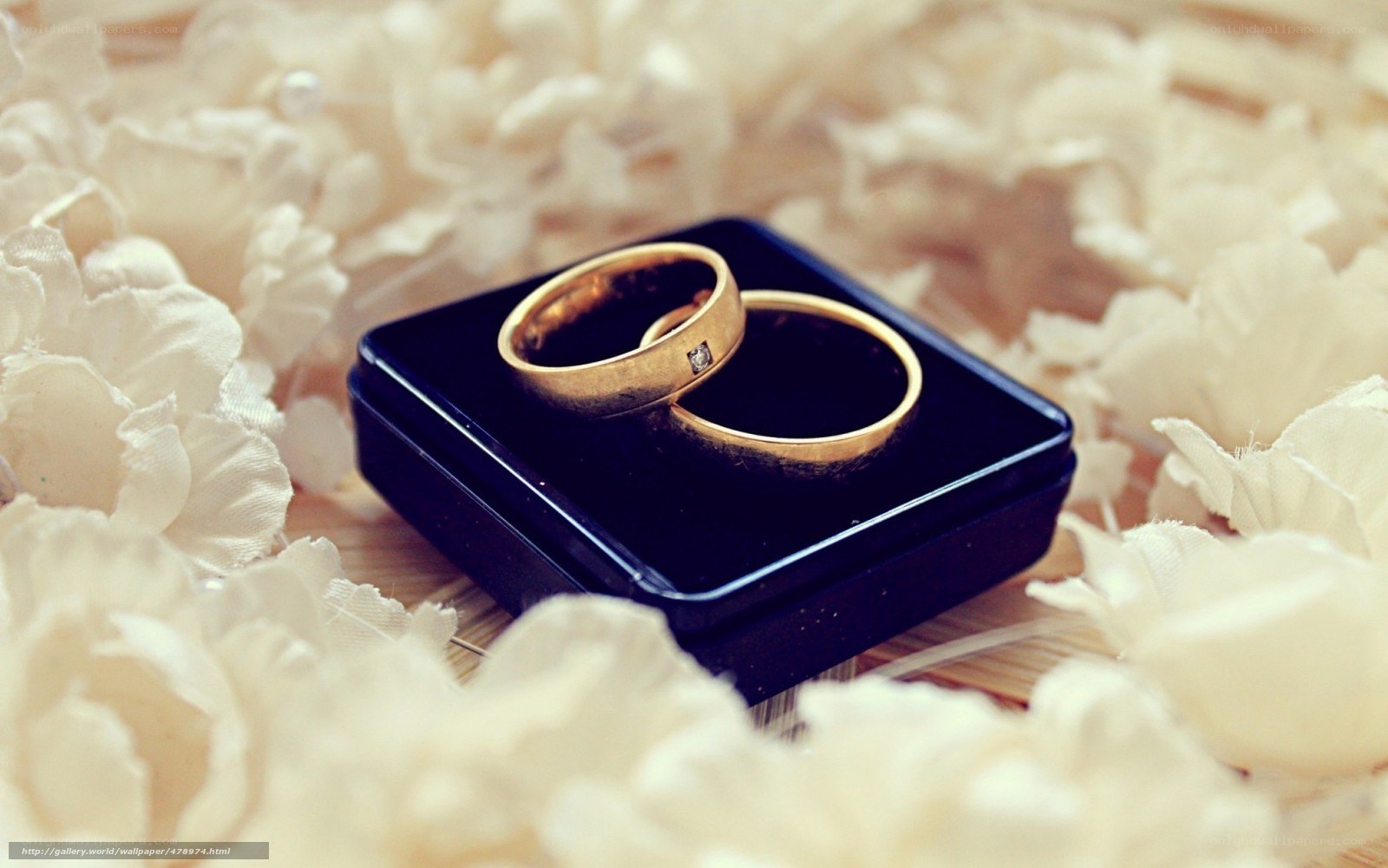 wedding rings on flowers