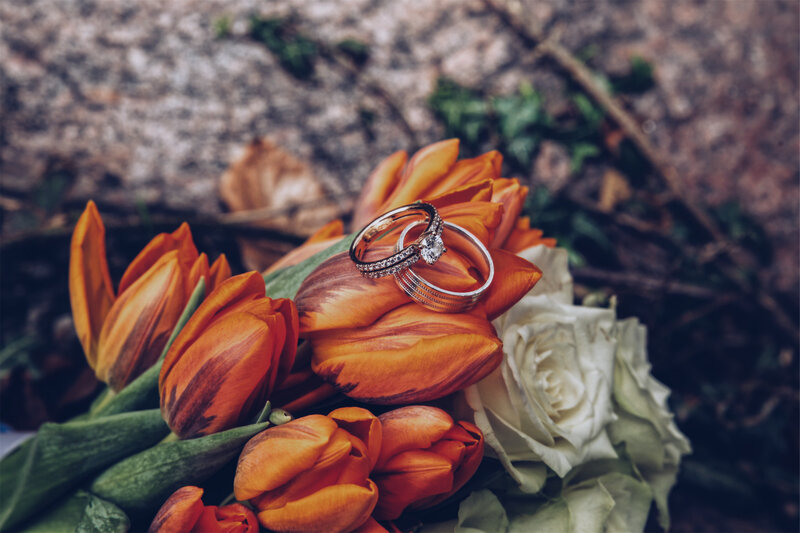 Wedding Rings on Flowers — Orange