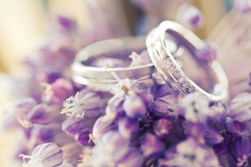 Wedding Rings on Flowers — Purple