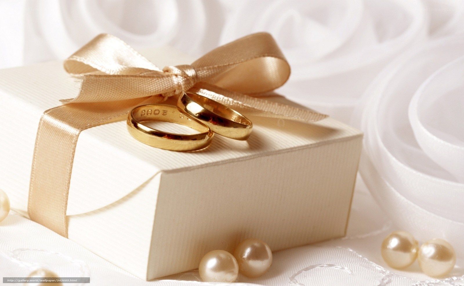 Wedding rings on gift box