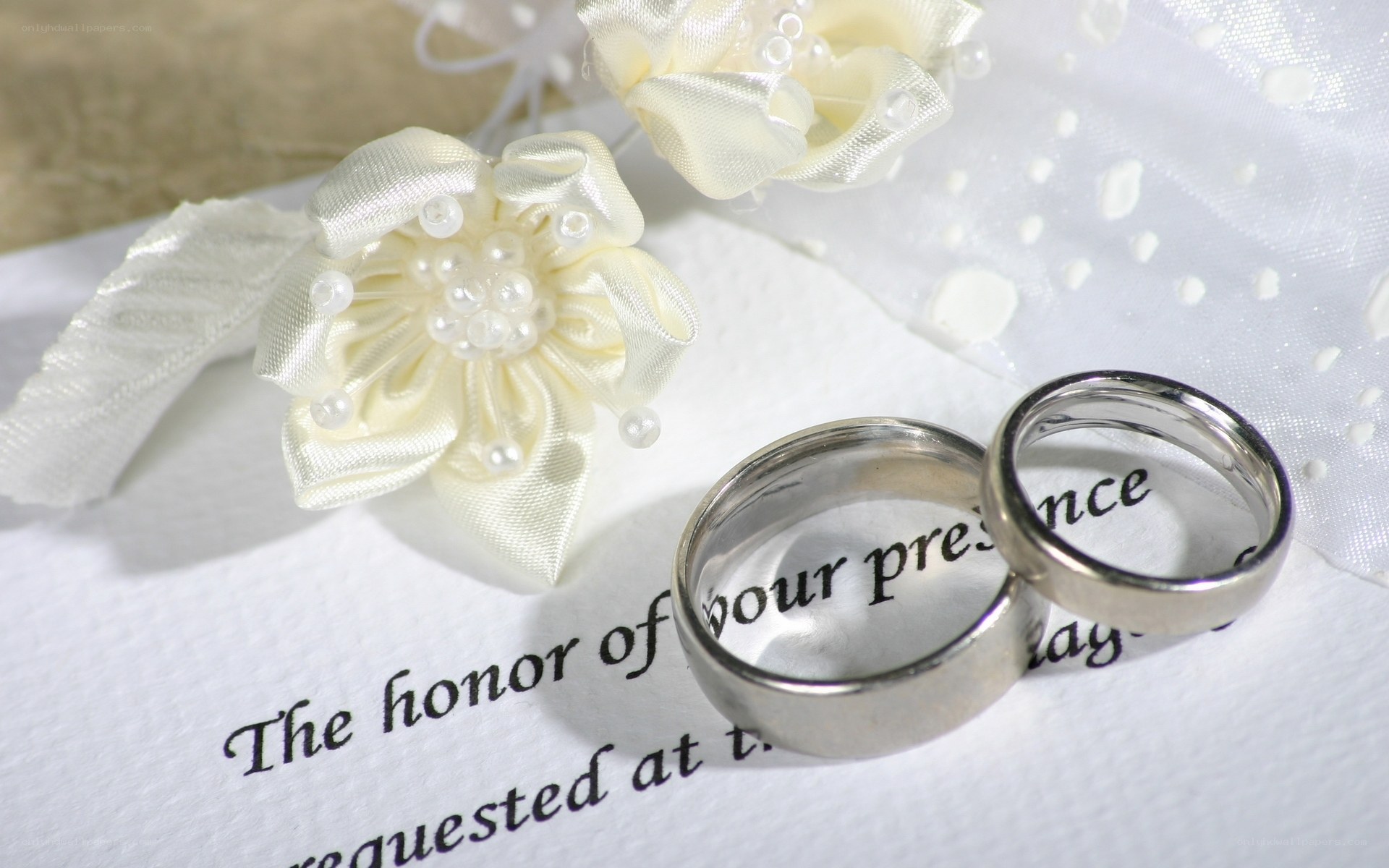 Wedding rings on invitation