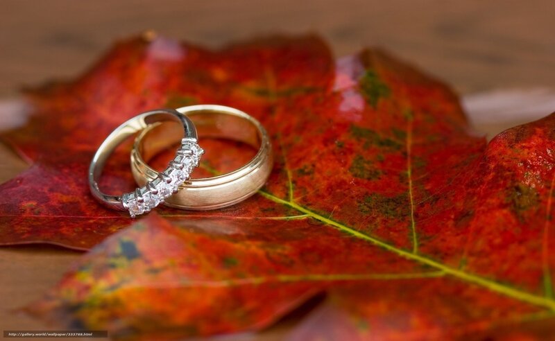 Wedding Rings on Leaf — Red, Serene