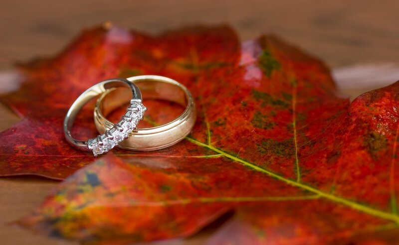 Wedding Rings on Leaf — Red