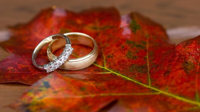 Wedding Rings on Leaf