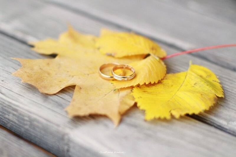 Wedding Rings on Leaf — Yellow