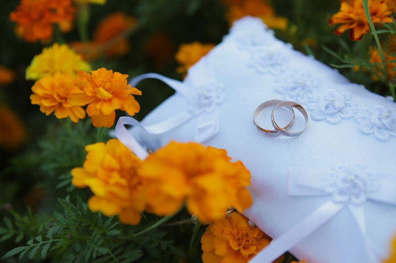 Wedding Rings on Pillow — White, Serene, Afternoon, Photograph