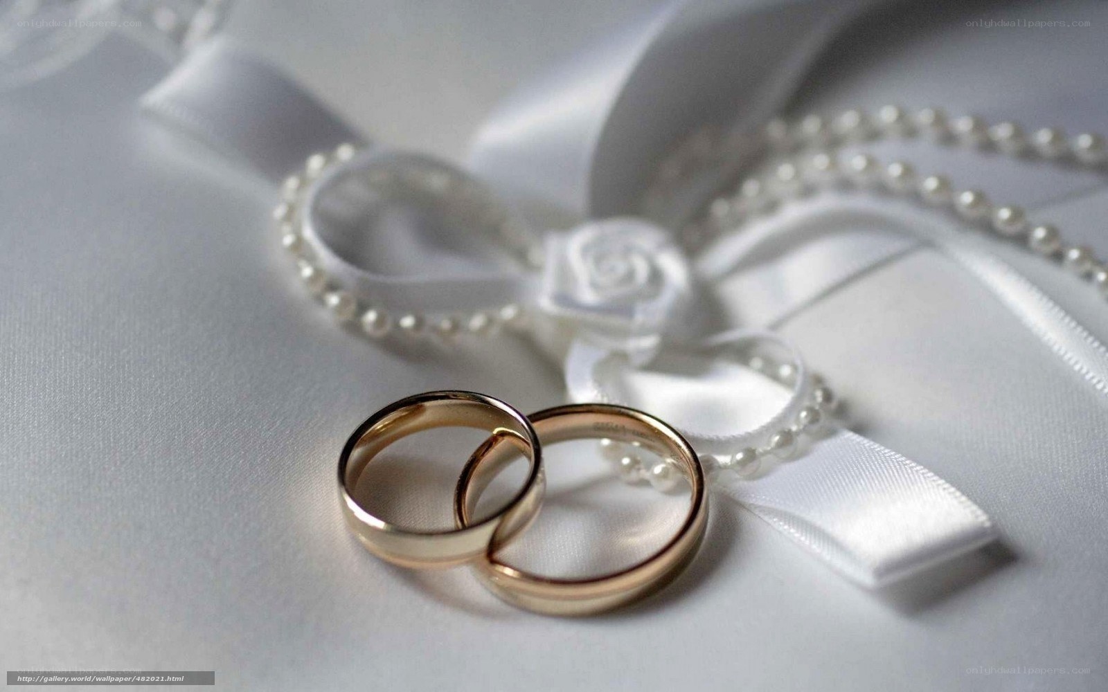 wedding rings on ribbon