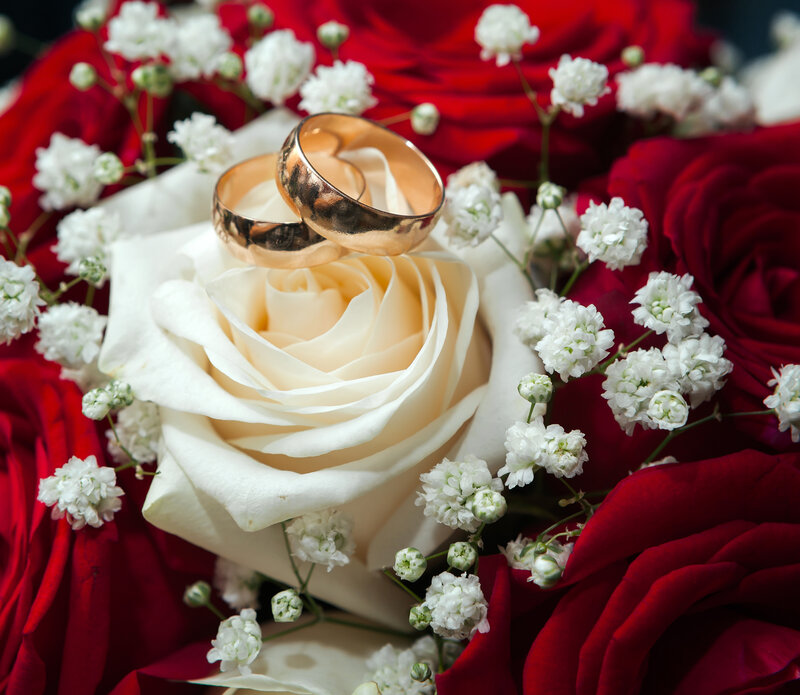 Wedding Rings on Rose — Red