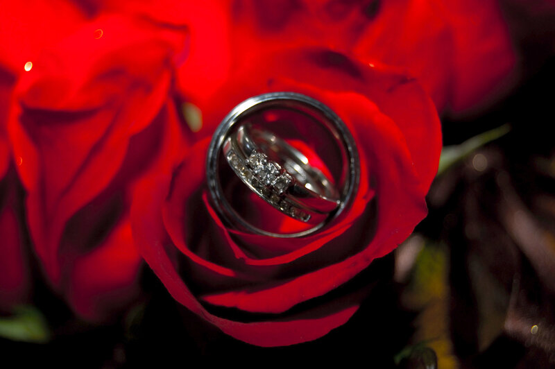 Wedding Rings on Rose