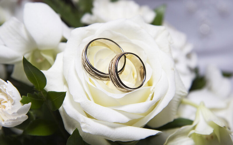 Wedding Rings on Rose — White
