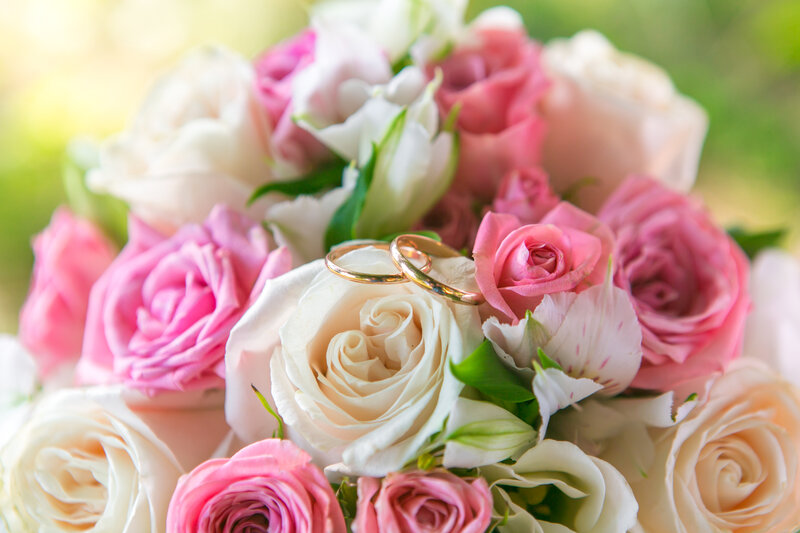 Wedding Rings on Roses — Pink, Romantic, Afternoon