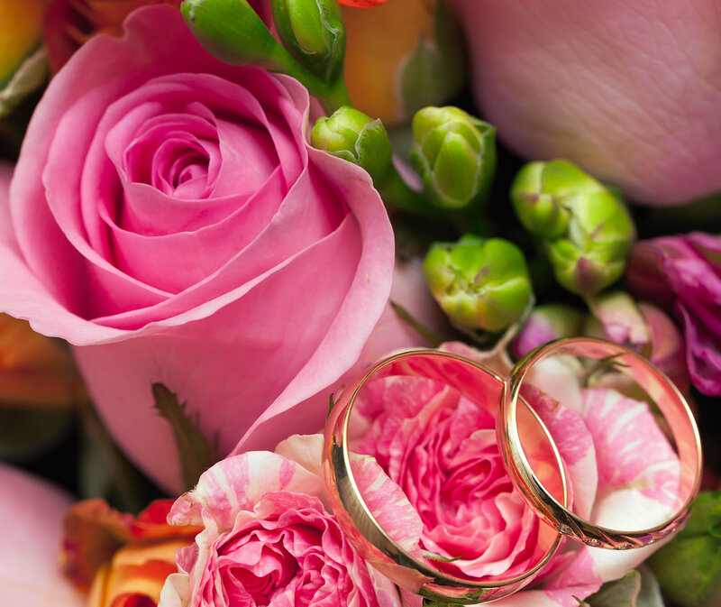 Wedding Rings on Roses — Pink, Romantic