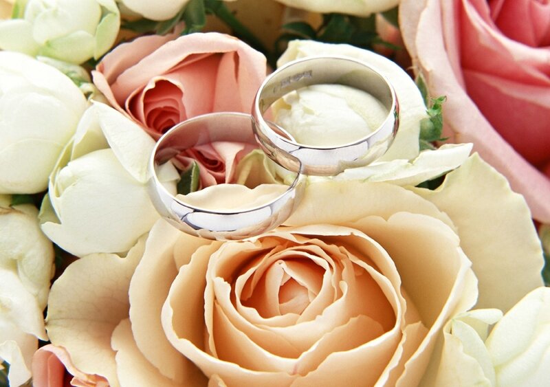 Wedding Rings on Roses — Pink