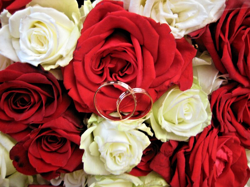 Wedding Rings on Roses — Red, Romantic, Photograph