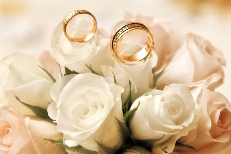 Wedding Rings on Roses — White, Romantic, Photograph